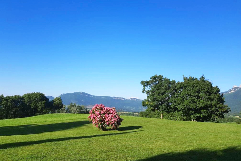 Extérieur/Jardin du Château